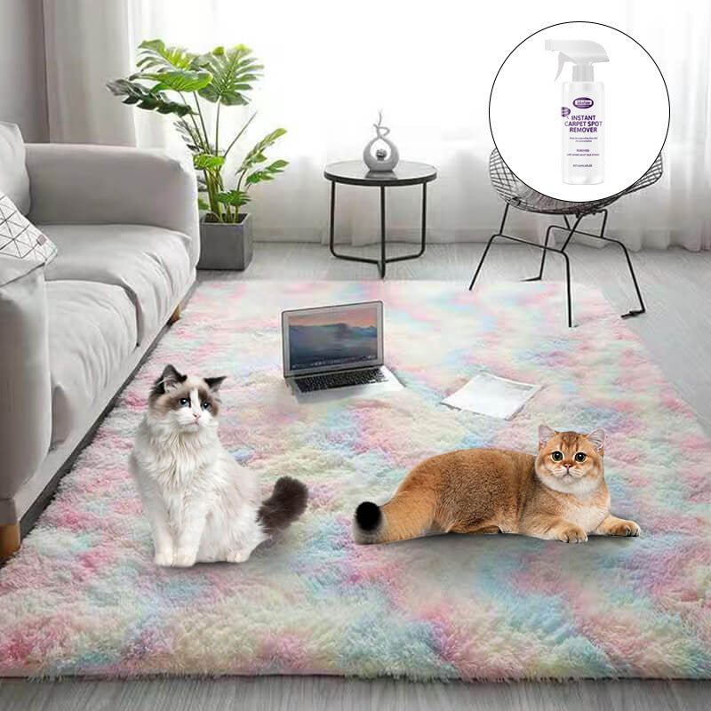 🔥Hot Sale🔥Gradient Color Plush Floor Mat