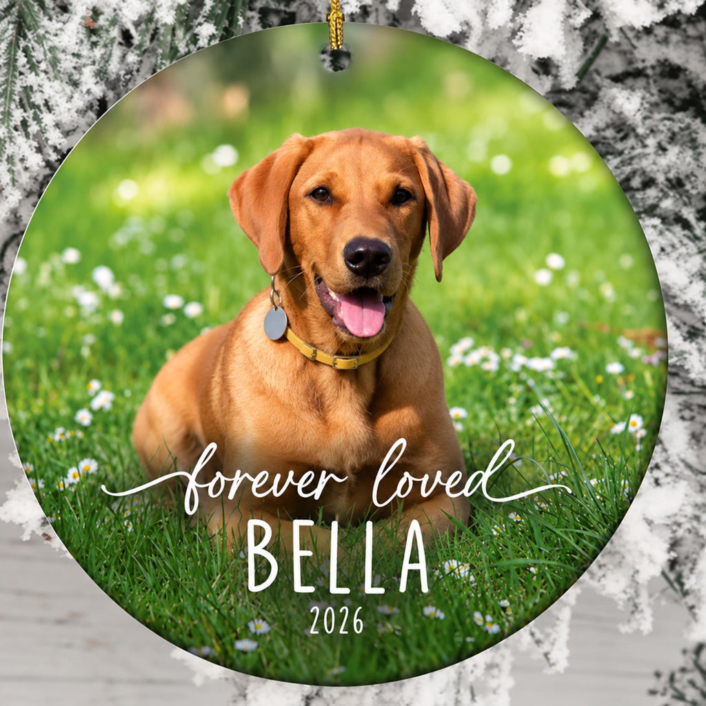 Personalized Dog Cat Memorial Christmas Plastic Ornament, Pet Memorial Gifts, Pet Photo Memorial, Pet Loss Gifts for Christmas Tree Decor
